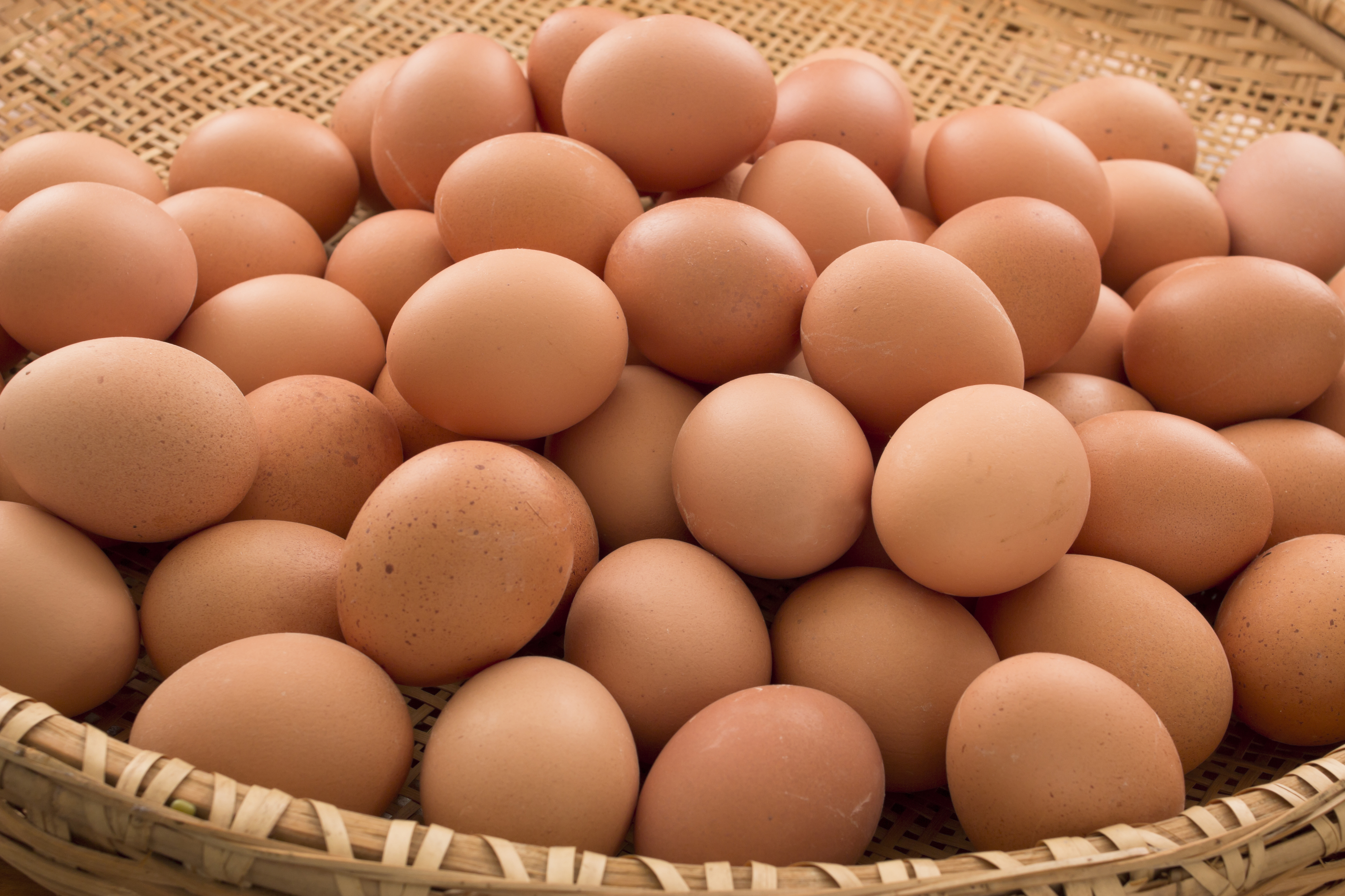 Яйца кучей. Инкубационное яйцо Ломан Браун. Яйцо куриное. Яйца кур. Яички куриные.